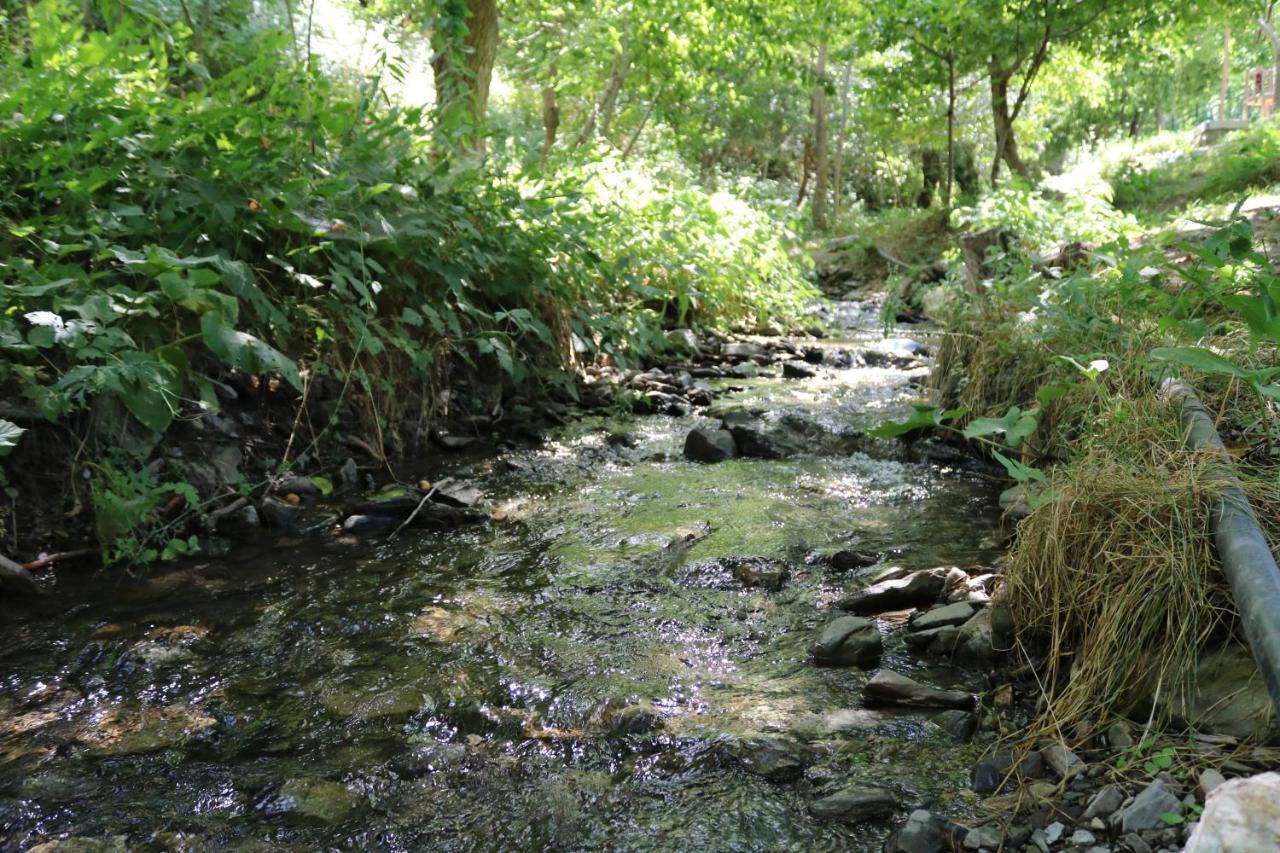 Hayat Guesthouse Nuratau Mountains Yukary-Ukhum Εξωτερικό φωτογραφία