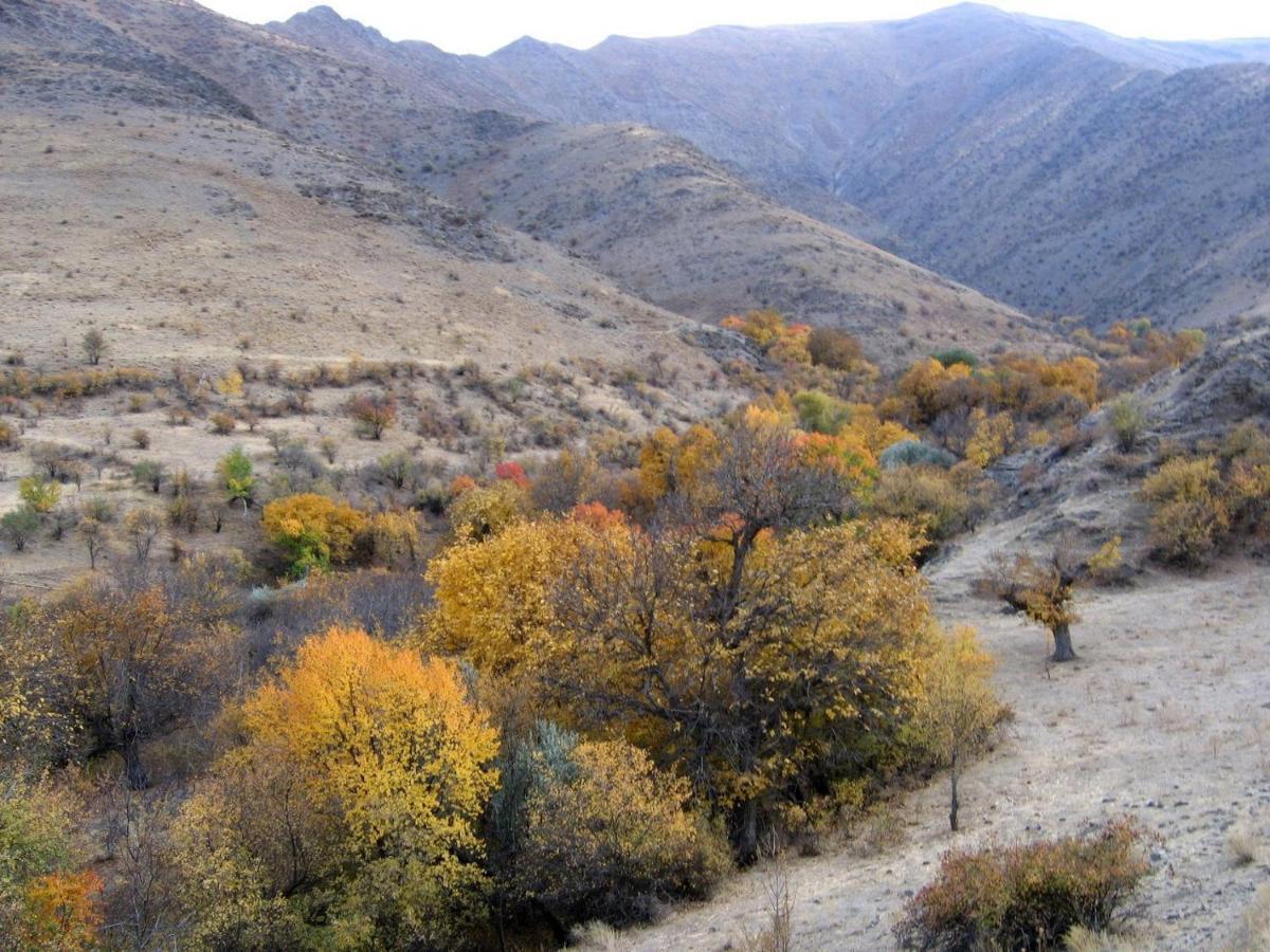 Hayat Guesthouse Nuratau Mountains Yukary-Ukhum Εξωτερικό φωτογραφία